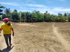 Lot For Sale Talibon Bohol 3,477 Sqm Propertyph