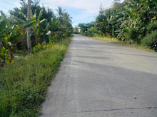 Load image into Gallery viewer, Beah Lot For Sale Guindulman Bohol 1,861 Sqm Propertyph