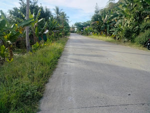 Beah Lot For Sale Guindulman Bohol 1,861 Sqm Propertyph