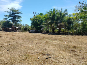 Lot For Sale Talibon Bohol 3,477 Sqm Propertyph