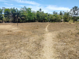 Lot For Sale Talibon Bohol 3,477 Sqm Propertyph