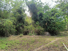 Load image into Gallery viewer, Lot For Sale Getafe Bohol 17,860 Sqm Propertyph