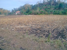 Load image into Gallery viewer, Lot For Sale Inabanga Bohol 16,000 Sqm Propertyph