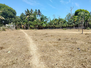 Lot For Sale Talibon Bohol 3,477 Sqm Propertyph