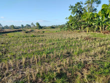 Load image into Gallery viewer, Lot For Sale Alicia Bohol 45,000 Sqm Propertyph