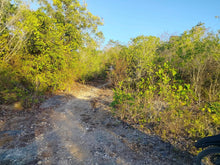 Load image into Gallery viewer, Overlooking Seaview Lot For Sale Tuburan Cebu 70,000 Sqm Propertyph