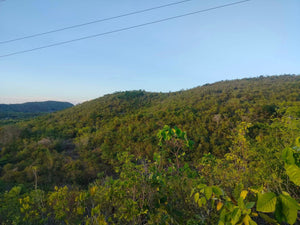 Overlooking Seaview Lot For Sale Tuburan Cebu 70,000 Sqm Propertyph