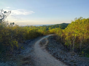 Overlooking Seaview Lot For Sale Tuburan Cebu 70,000 Sqm Propertyph