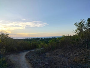 Overlooking Seaview Lot For Sale Tuburan Cebu 70,000 Sqm Propertyph