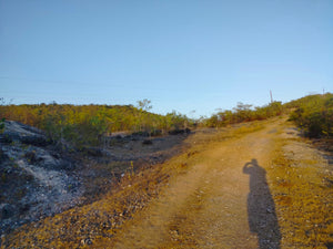 Overlooking Seaview Lot For Sale Tuburan Cebu 70,000 Sqm Propertyph