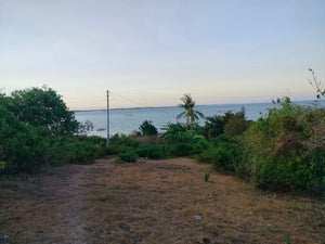 Lot For Sale Seaview Talibon Bohol 3,286 Sqm Propertyph.net