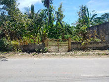 Load image into Gallery viewer, Commercial Lot For Sale Talibon Bohol 1,082 Sqm Propertyph