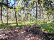 Load image into Gallery viewer, Lot For Sale With 3,000+ Coconut Trees Tuburan Cebu 51,000 Sqm Propertyph.net