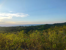 Load image into Gallery viewer, Overlooking Seaview Lot For Sale Tuburan Cebu 70,000 Sqm Propertyph