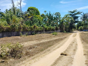 Lot For Sale Talibon Bohol 3,477 Sqm Propertyph