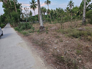 Lot For Sale In Manlapay Dumanjug Cebu 62,000 Sqm Propertyph.net