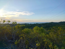 Load image into Gallery viewer, Overlooking Seaview Lot For Sale Tuburan Cebu 70,000 Sqm Propertyph