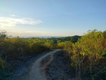 Load image into Gallery viewer, Overlooking Seaview Lot For Sale Tuburan Cebu 70,000 Sqm Propertyph