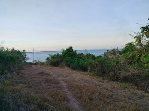 Lot For Sale Seaview Talibon Bohol 3,286 Sqm Propertyph.net