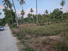 Load image into Gallery viewer, Lot For Sale In Manlapay Dumanjug Cebu 62,000 Sqm Propertyph.net