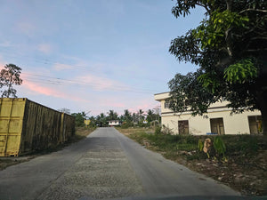 Lot For Sale In Manlapay Dumanjug Cebu 62,000 Sqm Propertyph.net