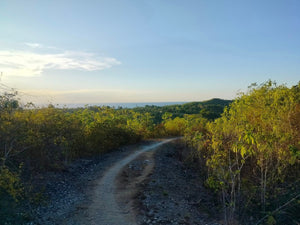 Overlooking Seaview Lot For Sale Tuburan Cebu 70,000 Sqm Propertyph