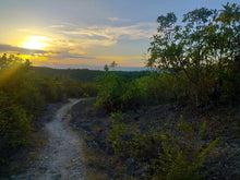 Load image into Gallery viewer, Overlooking Seaview Lot For Sale Tuburan Cebu 70,000 Sqm Propertyph