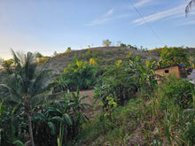 Load image into Gallery viewer, Lot For Sale In Dumanjug Cebu 84,000 Sqm Propertyph.net