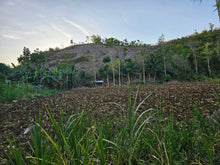 Load image into Gallery viewer, Lot For Sale In Dumanjug Cebu 84,000 Sqm Propertyph.net