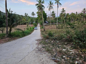 Lot For Sale In Manlapay Dumanjug Cebu 62,000 Sqm Propertyph.net