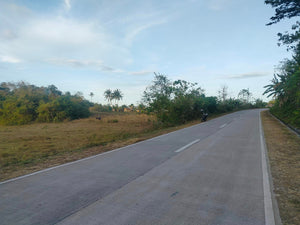 Lot For Sale Inabanga Bohol 16,000 Sqm Propertyph