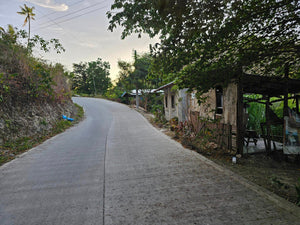 Lot For Sale In Dumanjug Cebu 84,000 Sqm Propertyph.net