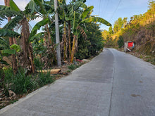 Load image into Gallery viewer, Lot For Sale In Dumanjug Cebu 84,000 Sqm Propertyph.net