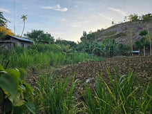 Load image into Gallery viewer, Lot For Sale In Dumanjug Cebu 84,000 Sqm Propertyph.net