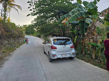 Load image into Gallery viewer, Lot For Sale In Dumanjug Cebu 84,000 Sqm Propertyph.net