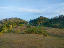 Load image into Gallery viewer, Lot For Sale Inabanga Bohol 16,000 Sqm Propertyph