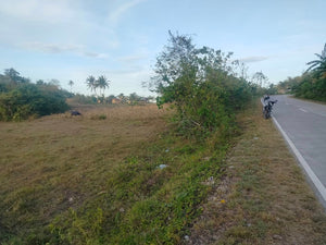 Lot For Sale Inabanga Bohol 16,000 Sqm Propertyph