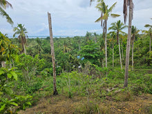 Load image into Gallery viewer, 3,696 sqm seaview lot for sale at Loon Bohol 1.6m net