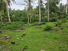 Load image into Gallery viewer, 3,696 sqm seaview lot for sale at Loon Bohol 1.6m net