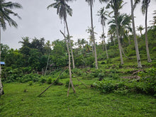 Load image into Gallery viewer, 3,696 sqm seaview lot for sale at Loon Bohol 1.6m net