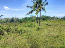 Load image into Gallery viewer, 2.5 hectares with coconut &amp; ricefield for sale at Trinidad Bohol