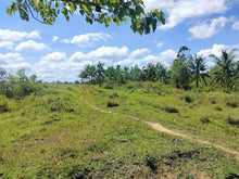 Load image into Gallery viewer, 2.5 hectares with coconut &amp; ricefield for sale at Trinidad Bohol