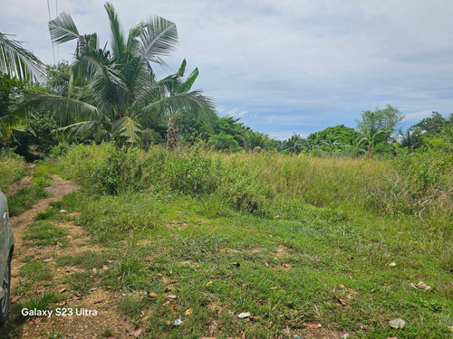 1,000 sqm lot for sale at Bogo City Cebu