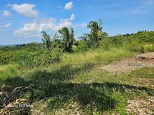 Load image into Gallery viewer, 3.5 has seaview lot for sale at Aloguinsan Cebu 250/sqm net