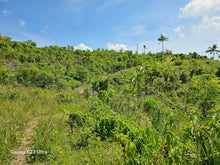 Load image into Gallery viewer, 3.5 has seaview lot for sale at Aloguinsan Cebu 250/sqm net