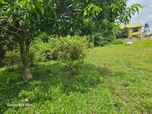 Load image into Gallery viewer, Lot for sale 7,500 sqm at Trinidad Bohol