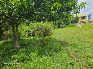 Lot for sale 7,500 sqm at Trinidad Bohol