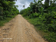 Load image into Gallery viewer, 1.1 ha with coconut, banana and fruit trees at Tubigon Bohol 250/sqm