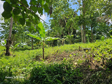 Load image into Gallery viewer, 9,000 sqm lot for sale in Clarin Bohol Philippines