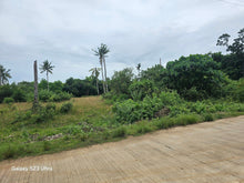 Load image into Gallery viewer, 7,500 sqm with mango trees for sale in Trinidad Bohol Philippines